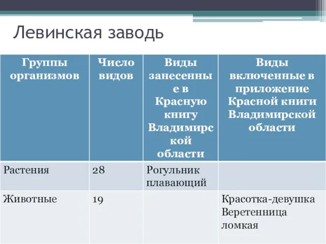 Левинская заводь