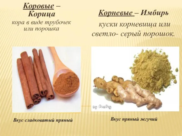 Коровые – Корица кора в виде трубочек или порошка Вкус сладковатый пряный