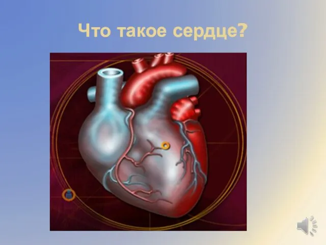 Что такое сердце?
