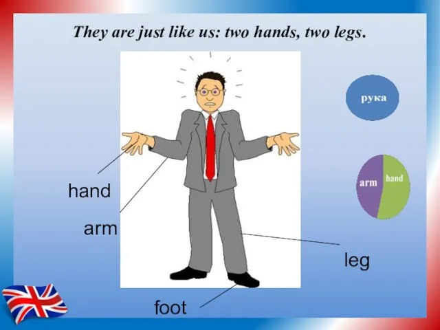 hand arm foot leg They are just like us: two hands, two legs.