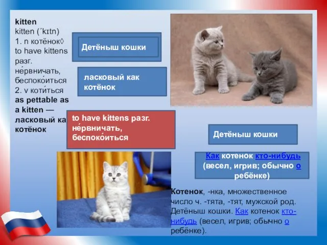 kitten kitten (ˊkɪtn) 1. n котёнок◊ to have kittens разг. не́рвничать, беспоко́иться