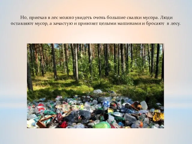 Но, приехав в лес можно увидеть очень большие свалки мусора. Люди оставляют