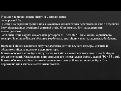 У самця хвостовий кінець зігнутий у вигляді гачка на черевний бік. У