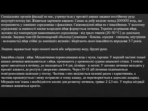 Спеціальних органів фіксації не має, утримується у просвіті кишки завдяки постійному руху