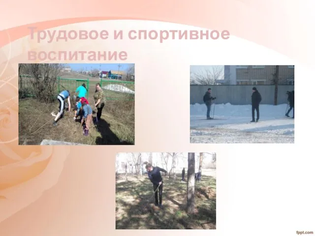 Трудовое и спортивное воспитание