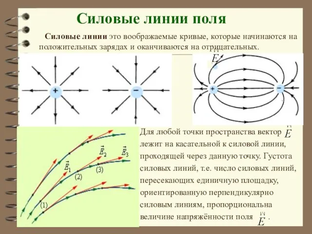 Cиловые линии поля Силовые линии это воображаемые кривые, которые начинаются на положительных