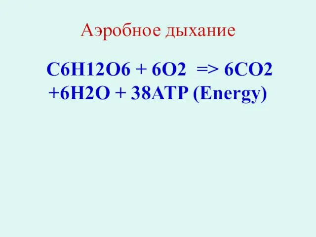 Аэробное дыхание C6H12O6 + 6O2 => 6CO2 +6H2O + 38ATP (Energy)