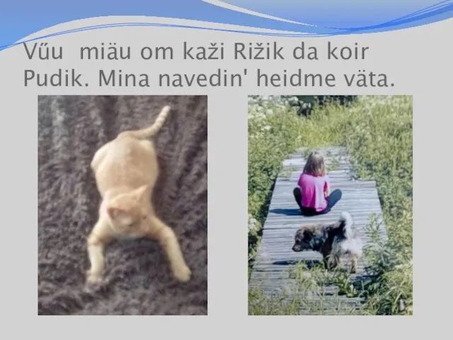 Vűu miäu om kaži Rižik da koir Pudik. Mina navedin' heidme väta.