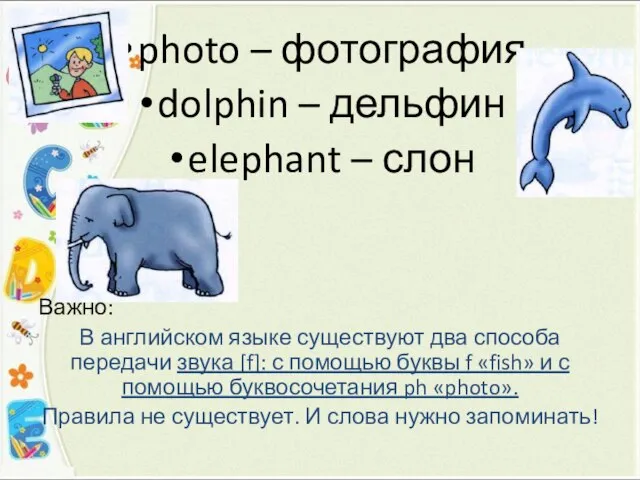 photo – фотография dolphin – дельфин elephant – слон Важно: В английском