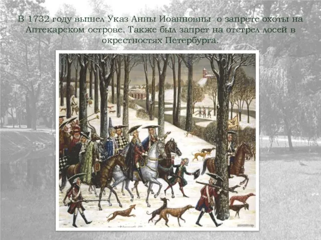В 1732 году вышел Указ Анны Иоанновны о запрете охоты на Аптекарском