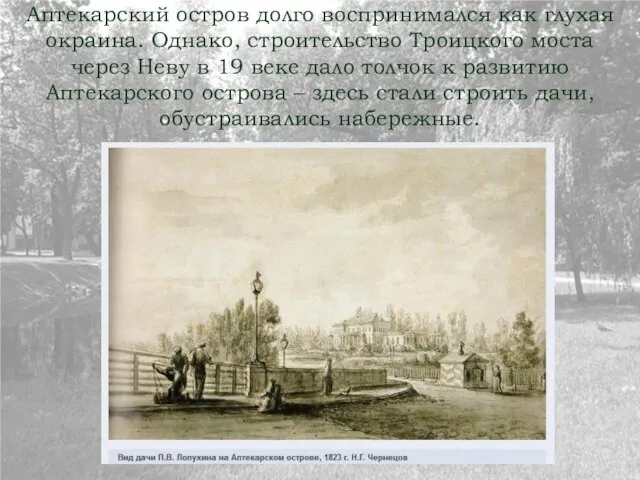 Аптекарский остров долго воспринимался как глухая окраина. Однако, строительство Троицкого моста через