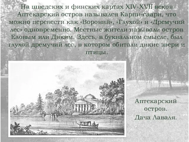 На шведских и финских картах XIV-XVII веков Аптекарский остров назывался Карпи-саари, что