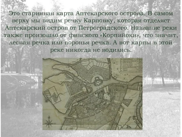 Это старинная карта Аптекарского острова. В самом верху мы видим речку Карповку,