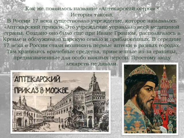 Как же появилось название «Аптекарский остров»? История такова. В России 17 века