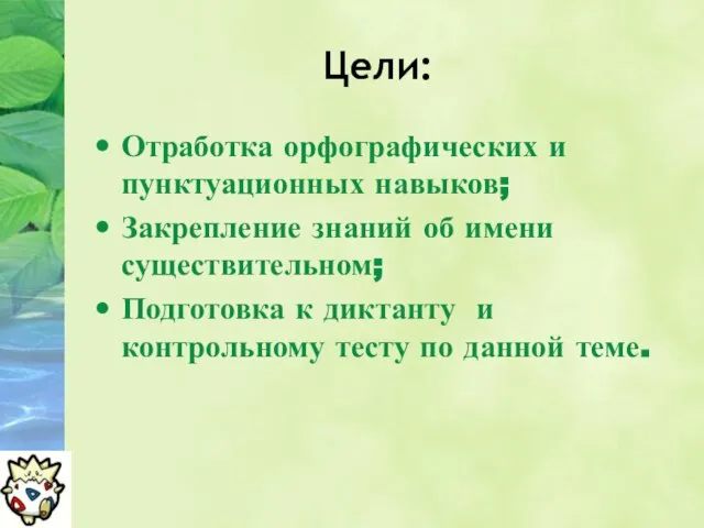 Цели: Отработка орфографических и пунктуационных навыков; Закрепление знаний об имени существительном; Подготовка