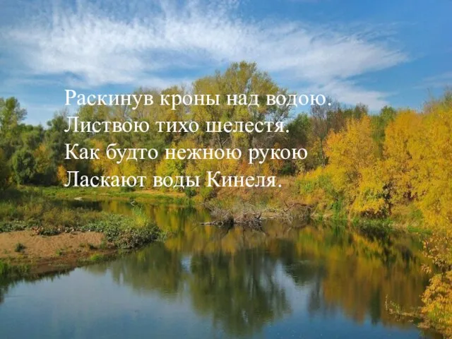 Раскинув кроны над водою. Листвою тихо шелестя. Как будто нежною рукою Ласкают воды Кинеля.