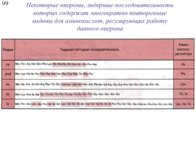 99 Некоторые опероны, лидерные последовательности которых содержат многократно повторенные кодоны для аминокислот, регулирующих работу данного оперона