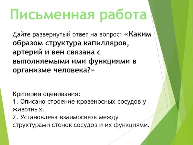 Письменная работа Дайте развернутый ответ на вопрос: «Каким образом структура капилляров, артерий