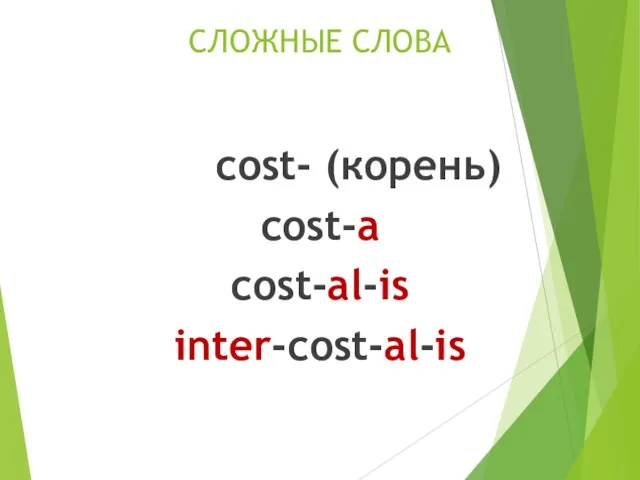 СЛОЖНЫЕ СЛОВА cost- (корень) cost-a cost-al-is inter-cost-al-is