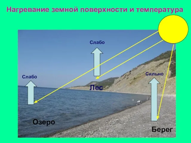 Нагревание земной поверхности и температура Озеро Лес Слабо Слабо Сильно Берег