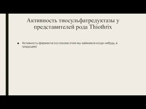 Активность тиосульфатредуктазы у представителей рода Thiothrix Активность фермента (но похоже этим мы займемся когда-нибудь, в грядущем)