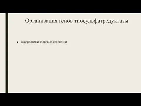 Организация генов тиосульфатредуктазы экспрессия и красивые стрелочки