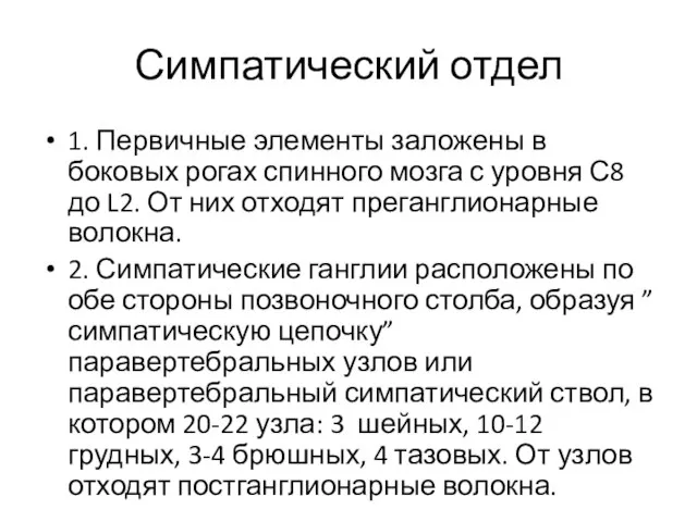 Симпатический отдел 1. Первичные элементы заложены в боковых рогах спинного мозга с