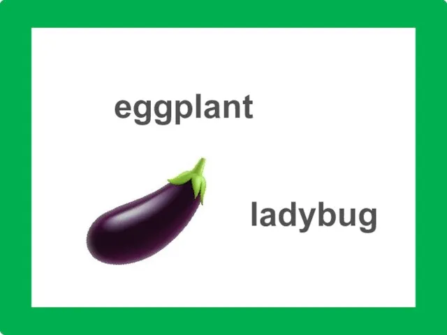 eggplant ladybug