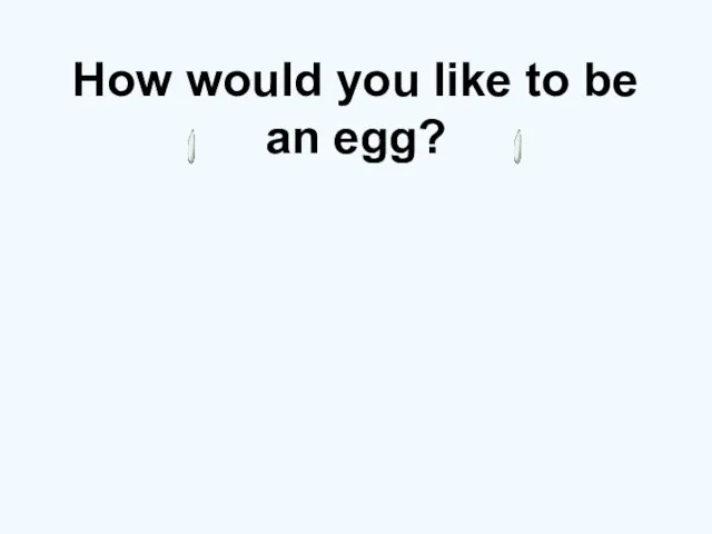 How would you like to be an egg?