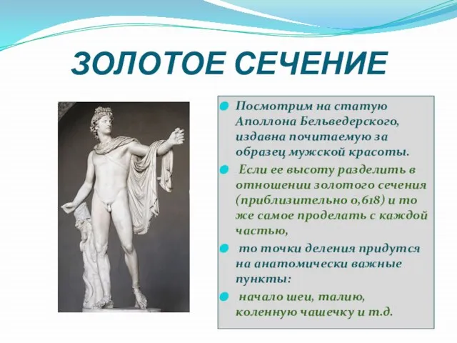 ЗОЛОТОЕ СЕЧЕНИЕ Посмотрим на статую Аполлона Бельведерского, издавна почитаемую за образец мужской