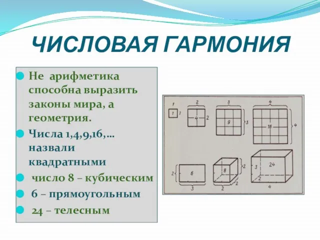 ЧИСЛОВАЯ ГАРМОНИЯ Не арифметика способна выразить законы мира, а геометрия. Числа 1,4,9,16,…