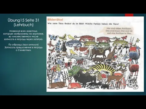 Übung15 Seite 31 (Lehrbuch) Названия всех животных, которые изображены на картинке, во