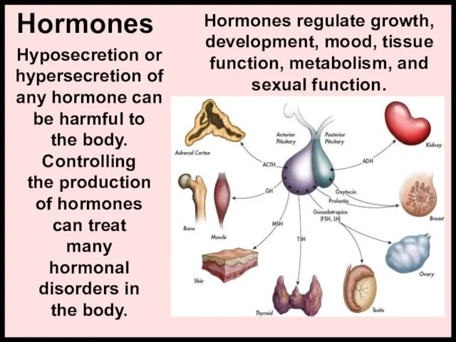 Hormones Hormones regulate growth, development, mood, tissue function, metabolism, and sexual function.