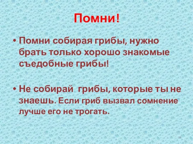 Помни! Помни собирая грибы, нужно брать только хорошо знакомые съедобные грибы! Не