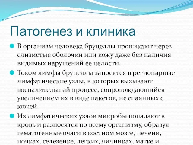 Патогенез и клиника В организм человека бруцеллы проникают через слизистые оболочки или