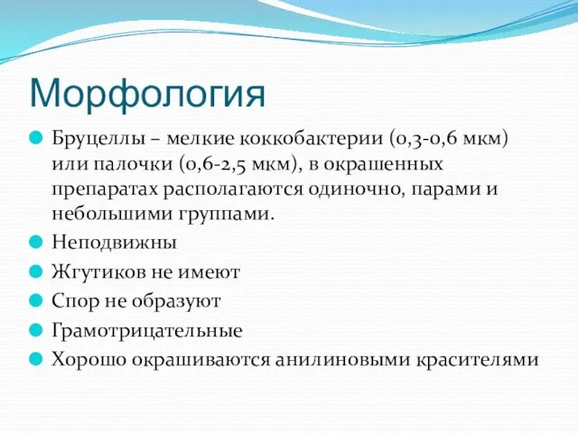 Морфология Бруцеллы – мелкие коккобактерии (0,3-0,6 мкм) или палочки (0,6-2,5 мкм), в