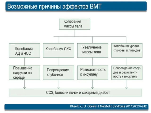 Возможные причины эффектов ВМТ Rhee E.-J. Jl Obesity & Metabolic Syndrome 2017;26:237-242