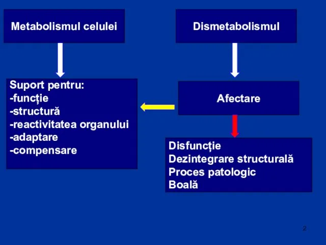 Metabolismul celulei Suport pentru: -funcție -structură -reactivitatea organului -adaptare -compensare Dismetabolismul Afectare