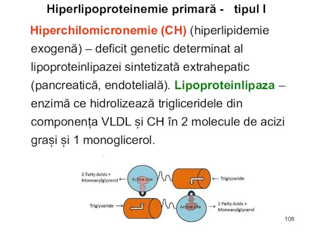 Hiperlipoproteinemie primară - tipul I Hiperchilomicronemie (CH) (hiperlipidemie exogenă) – deficit genetic