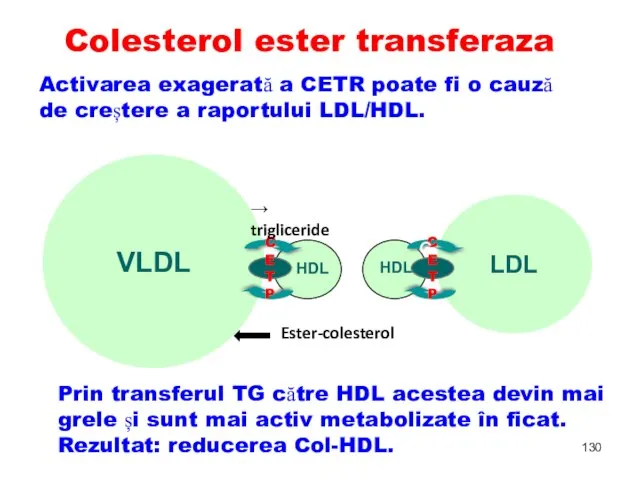 VLDL CETP HDL TG CE LDL CETP HDL TG CE Colesterol ester