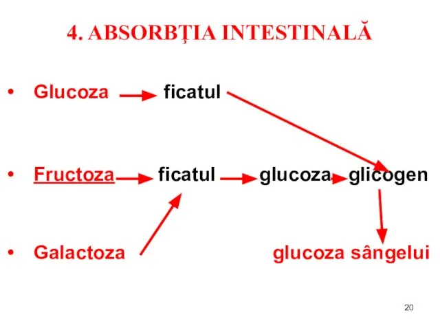 4. ABSORBŢIA INTESTINALĂ Glucoza ficatul Fructoza ficatul glucoza glicogen Galactoza glucoza sângelui