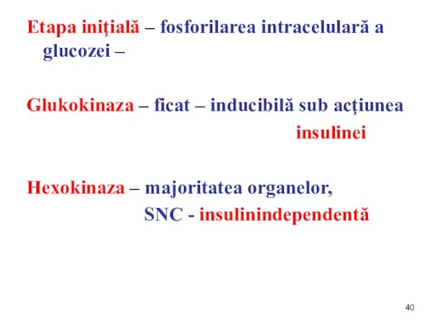 Etapa iniţială – fosforilarea intracelulară a glucozei – Glukokinaza – ficat –