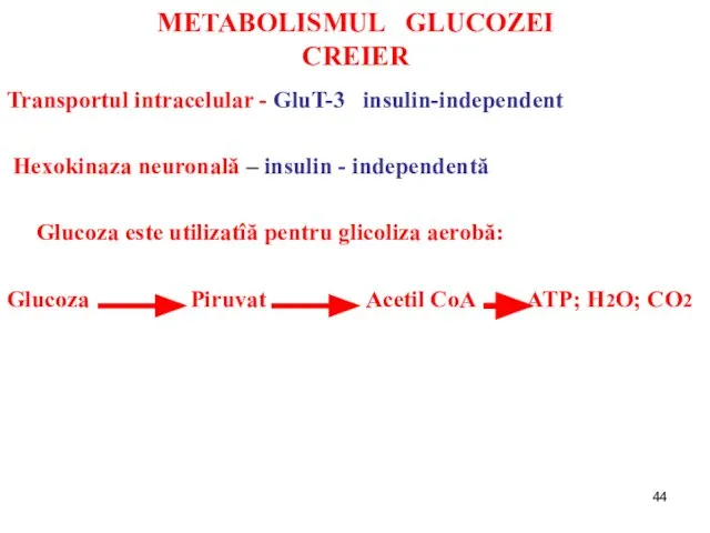 METABOLISMUL GLUCOZEI CREIER Transportul intracelular - GluT-3 insulin-independent Hexokinaza neuronală – insulin