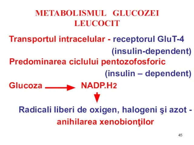 METABOLISMUL GLUCOZEI LEUCOCIT Transportul intracelular - receptorul GluT-4 (insulin-dependent) Predominarea ciclului pentozofosforic