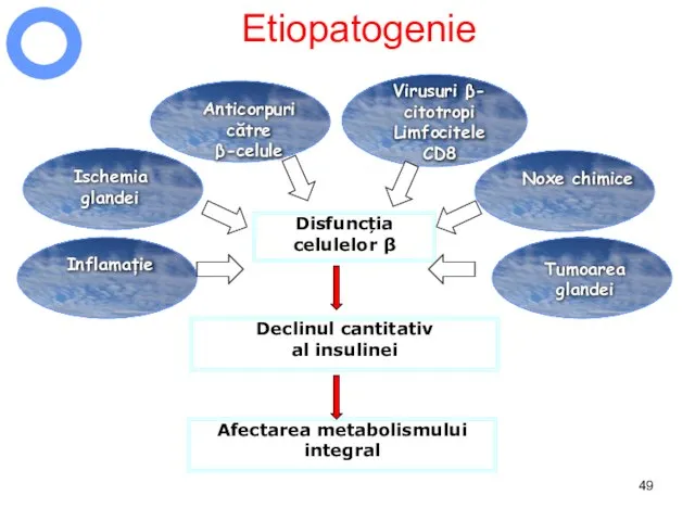 Etiopatogenie Disfuncția celulelor β Virusuri β- citotropi Limfocitele CD8 Ischemia glandei Noxe