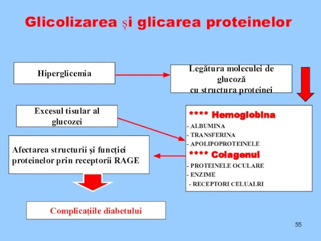 Glicolizarea și glicarea proteinelor Hiperglicemia Legătura moleculei de glucoză cu structura proteinei
