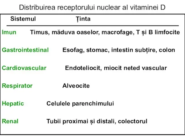 Distribuirea receptorului nuclear al vitaminei D Sistemul Ținta Imun Timus, măduva oaselor,
