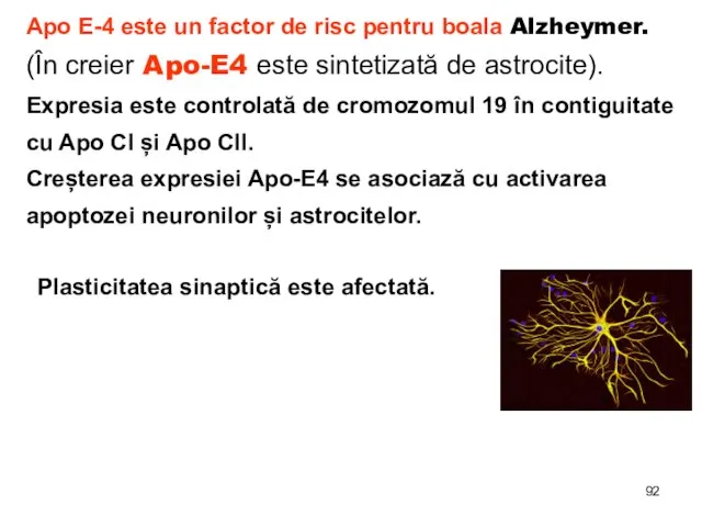 Apo E-4 este un factor de risc pentru boala Alzheymer. (În creier