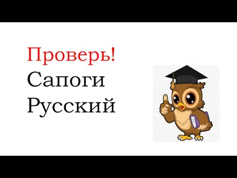 Проверь! Сапоги Русский