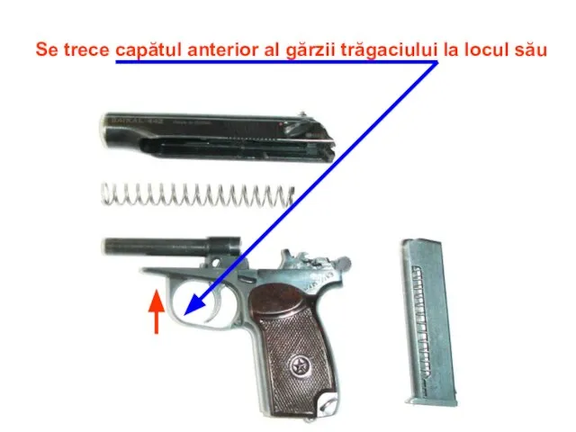 Se trece capătul anterior al gărzii trăgaciului la locul său